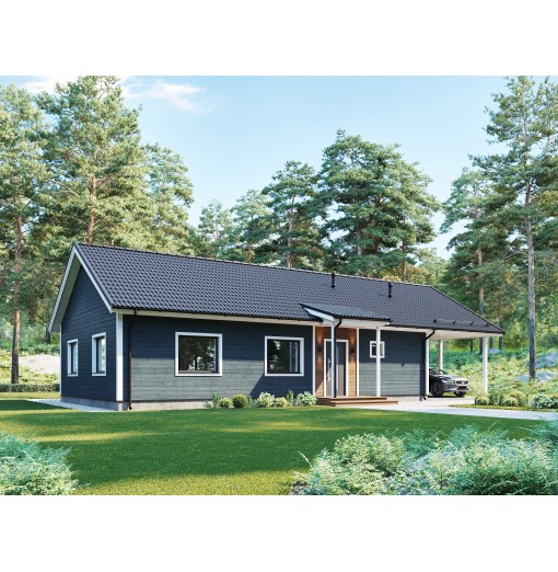 Elementhaus 2